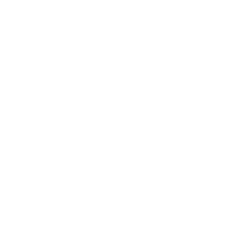 Vince Guzman